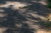 2017-08-21 Eclipse 264